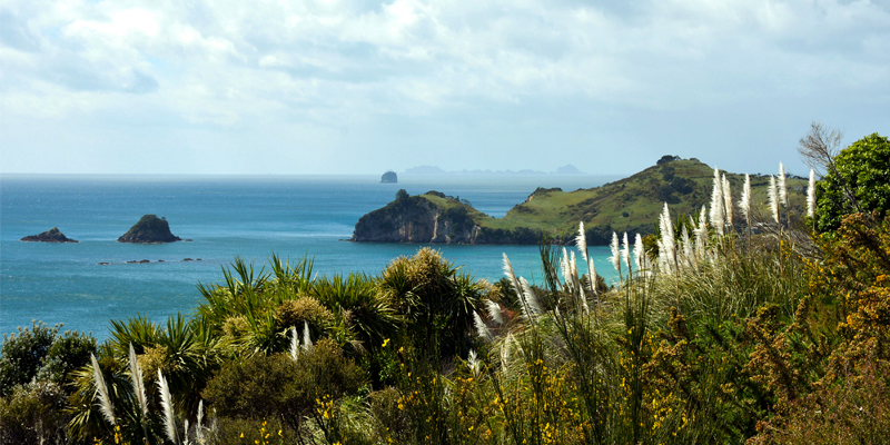 Coromandel Peninsula New Zealand